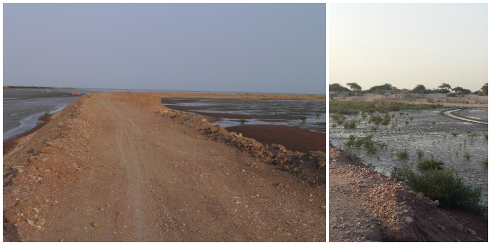 On the left, a view of the bund built on the inter-tidal area. Photograph courtesy Kanchi Kohli. On the right, a view from the bund showing mangroves and the temporary settlements of fisherfolk. Photograph courtesy Bharat Patel.
